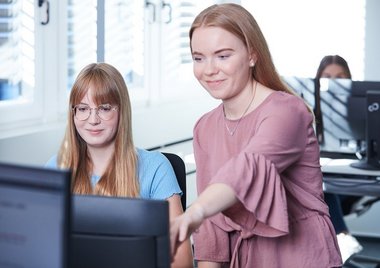 employees working and looking at a pc monitor